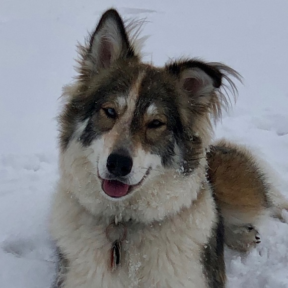 Meet your Posher, Michele - Picture 1 of 1